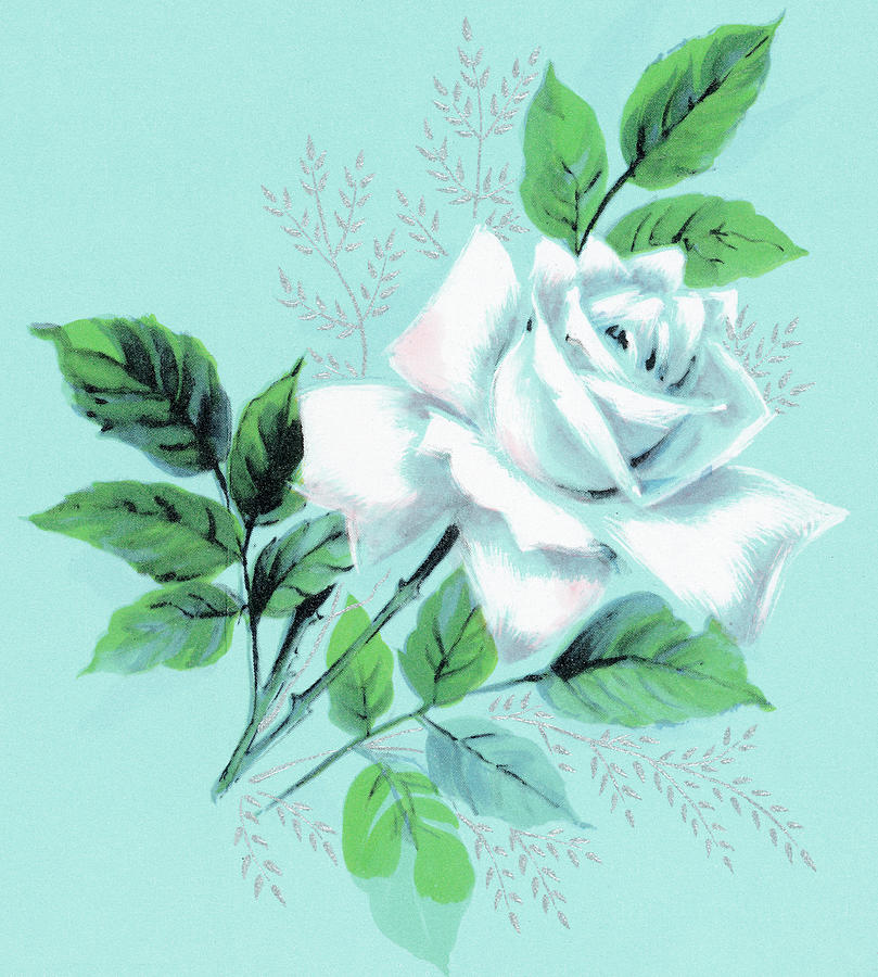 Vintage Drawing - Rose #13 by CSA Images