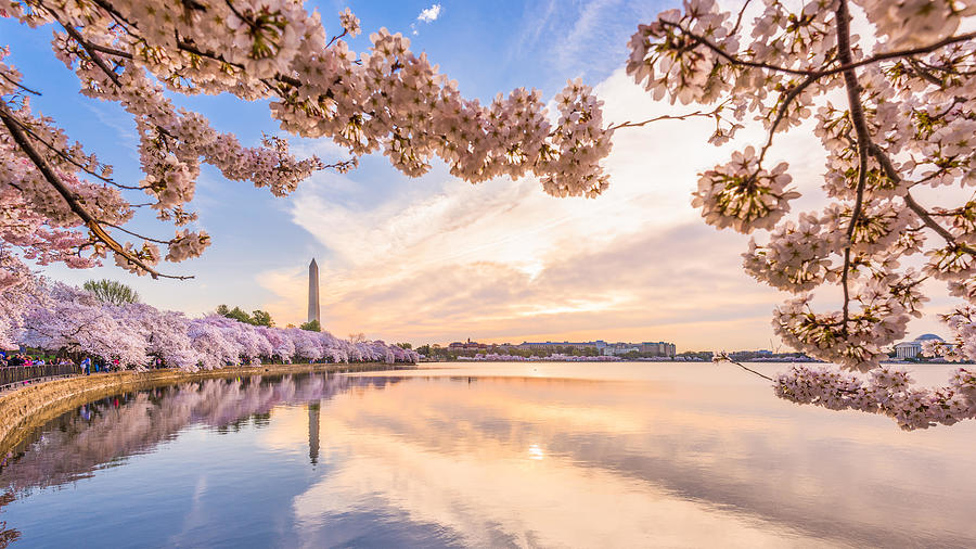 Spring Photograph - Washington Dc, Usa In Spring Season #13 by Sean Pavone