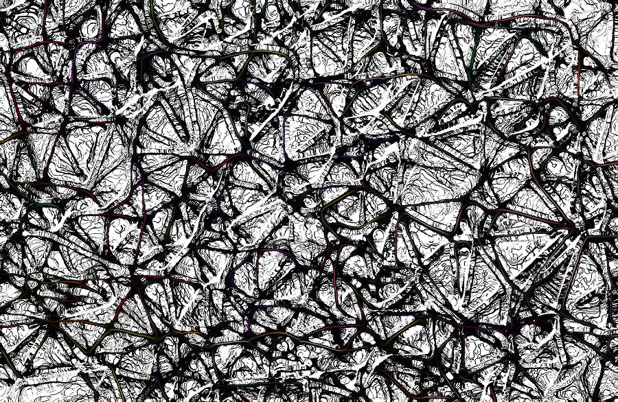 1307 Web by AJP 1307 Web by AJP