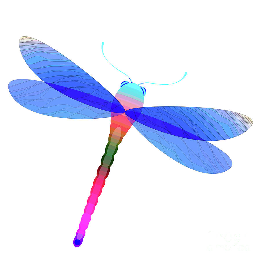 A colorful conceptual dragonfly with veined, transparent wings. Digital Art  by Gossamer Fairytales - Pixels