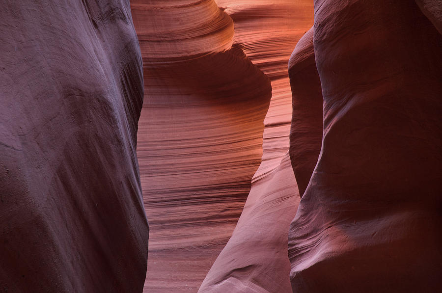 Abstract Sandstone Sculptured Canyon #14 Photograph by Mitch Diamond