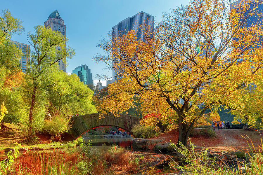 Autumn In Central Park, Nyc #14 Digital Art by Pietro Canali