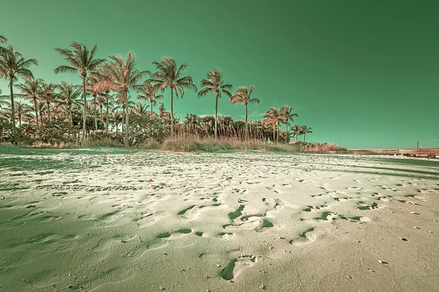 Beach At Peanut Island, Florida #14 Digital Art by Laura Zeid