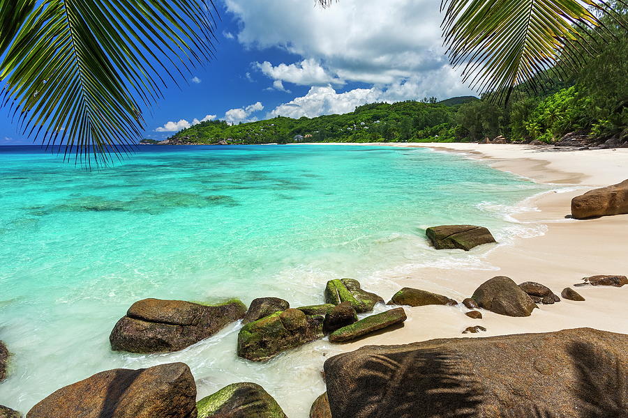 Beach With Granite Rocks, Seychelles Digital Art by Reinhard Schmid ...