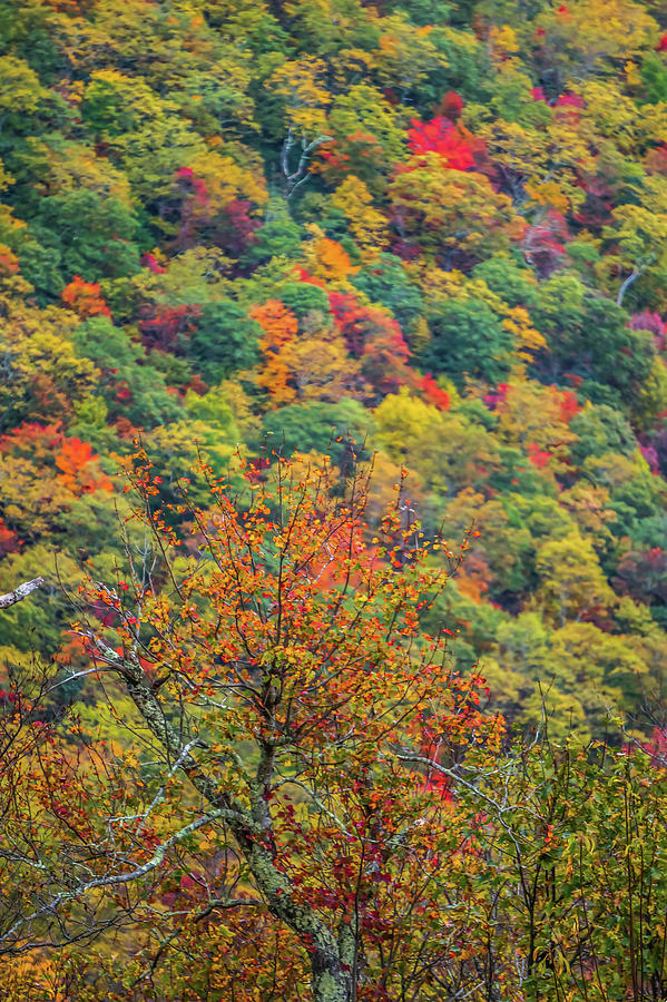 Blue Ridge And Smoky Mountains Changing Color In Fall #14 Photograph by Alex Grichenko