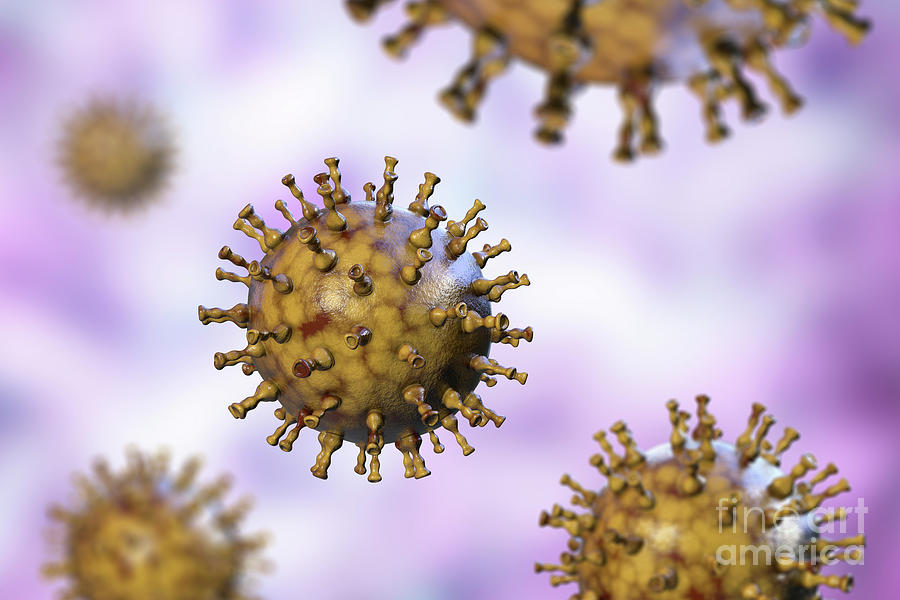 Chickenpox Virus #14 Photograph by Kateryna Kon/science Photo Library