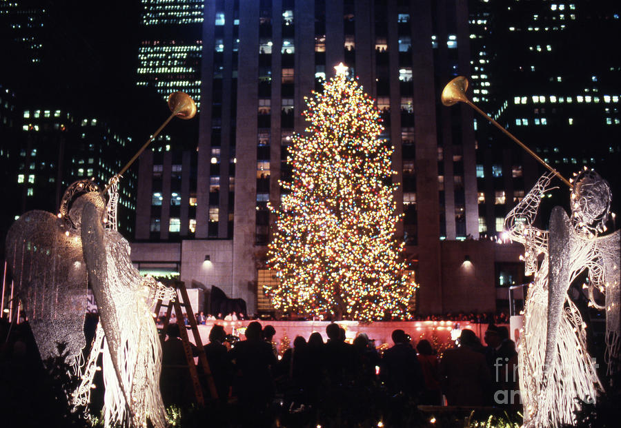 Christmas Tree At Rockefeller Center #14 Photograph by Bettmann