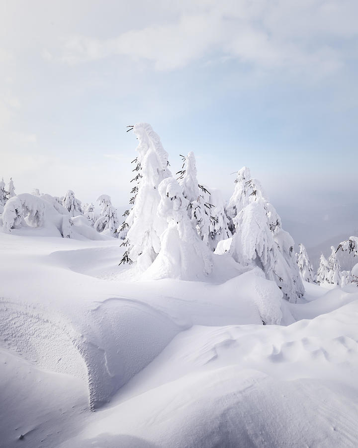 Winter Photograph - Fantastic Winter Landscape With Snowy #14 by Ivan Kmit