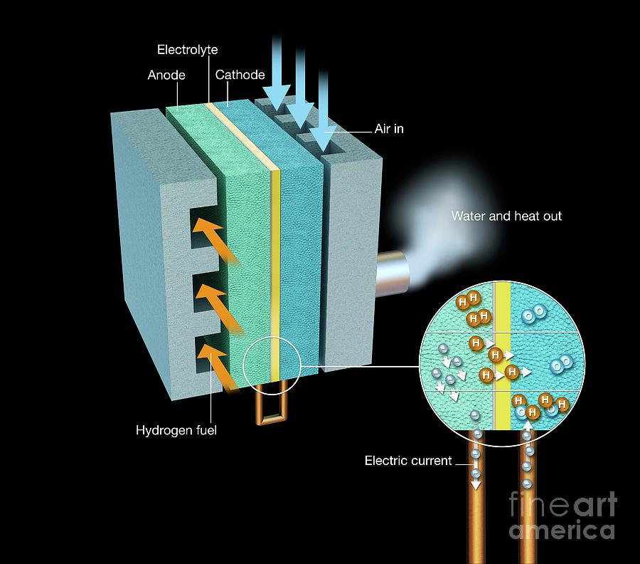 Illustration Photograph - Hydrogen Fuel Cell #14 by Mikkel Juul Jensen / Science Photo Library