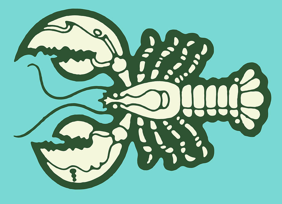 Vintage Drawing - Lobster #14 by CSA Images