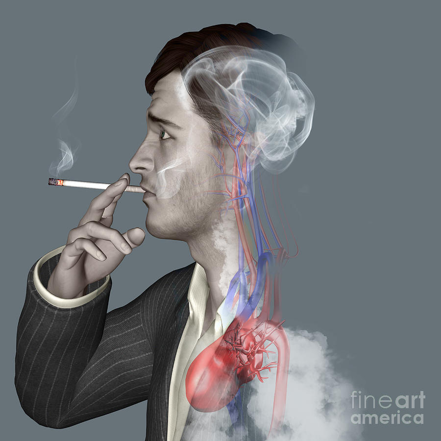 Man Smoking Cigarettes #14 Photograph by Fernando Da Cunha/science Photo Library