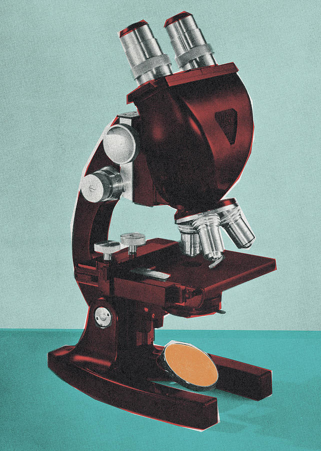 Vintage Drawing - Microscope #14 by CSA Images