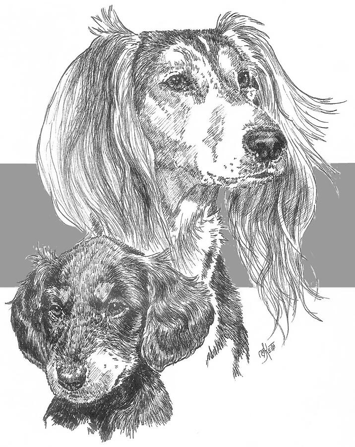 Saluki and Pup Drawing by Barbara Keith
