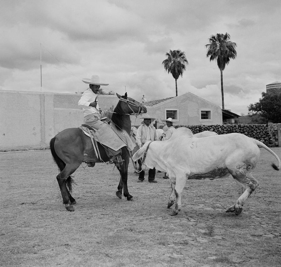 Ranching In Michoacan, Mexico #14 Photograph by Michael Ochs Archives