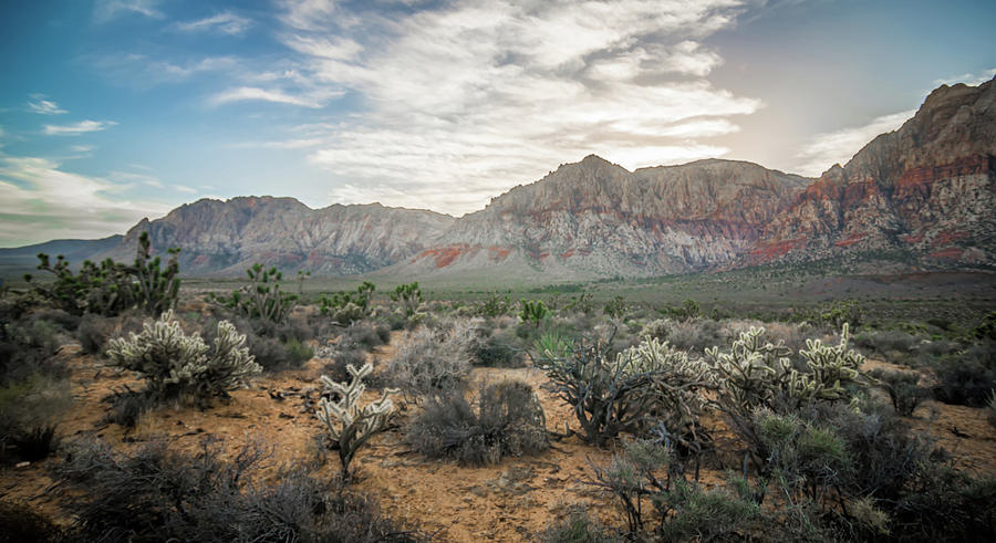 Red Rock Canyon Las Vegas Nevada At Sunset #14 Photograph by Alex Grichenko