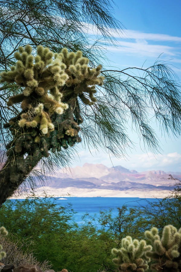 Scenes At Lake Mead Nevada Arizona Stateline #14 Photograph by Alex Grichenko