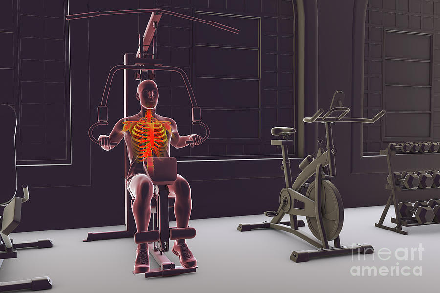 Man Photograph - Skeleton Training On A Hammer Strength Machine #14 by Kateryna Kon/science Photo Library