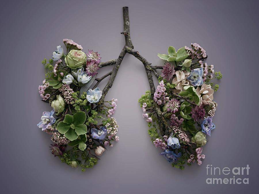 Spring Flowers Representing Human Lungs #14 Photograph by Science Photo Library