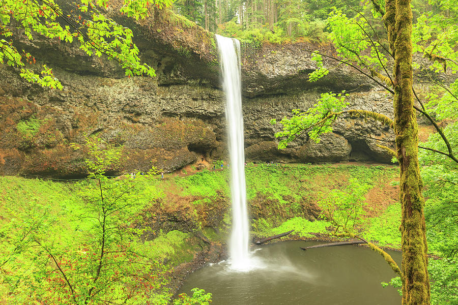 Fall Photograph - Trail Of Ten Falls, Silver Falls State #14 by Stuart Westmorland