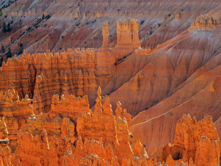 Bryce Canyon Photograph - Utah, Bryce Canyon National Park by Jamie and Judy Wild Bryce Canyon Photograph - Utah, Bryce Canyon National Park by Jamie and Judy Wild