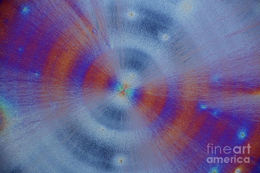 Vitamin C Crystals 14 Photograph by Karl Gaff / Science Photo Library