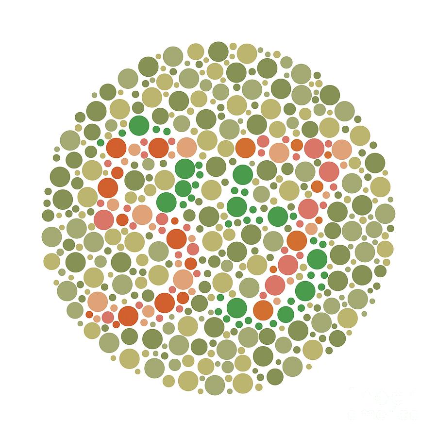 Colour Blindness Test Chart Photograph by Chongqing Tumi Technology Ltd ...