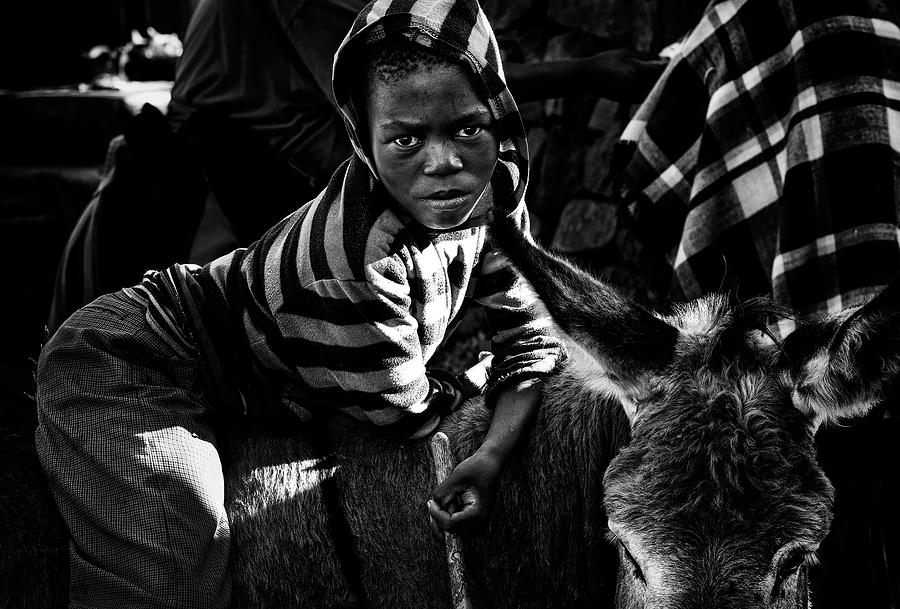 Animal Photograph -  #142 by Joxe Inazio Kuesta Garmendia