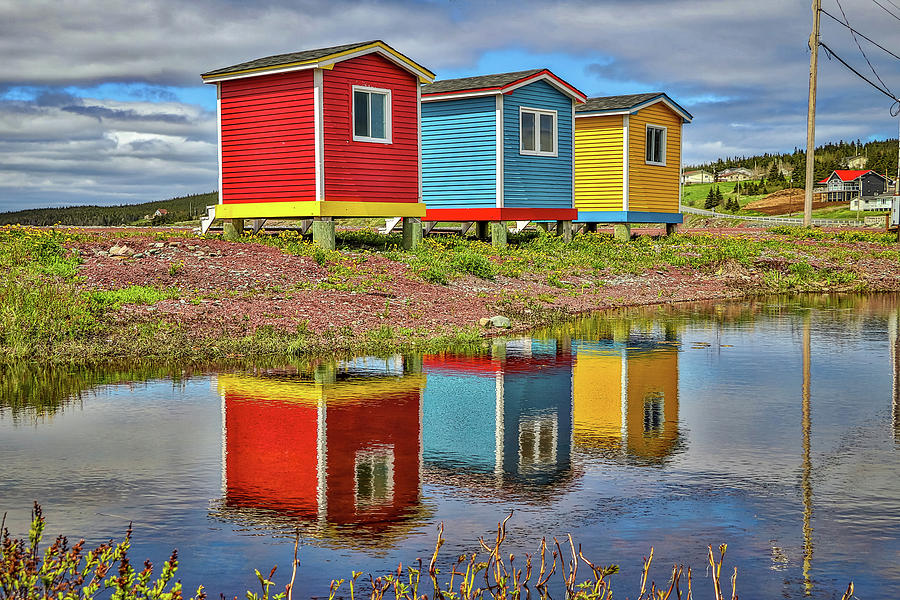 Newfoundland Canada #146 Photograph by Paul James Bannerman