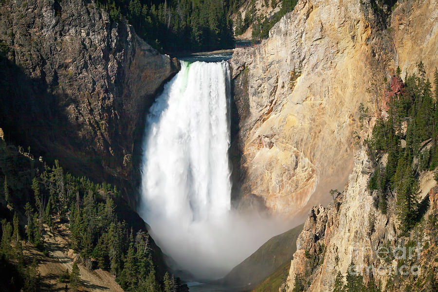1480 Upper Falls - Yellowstone River Photograph by Steve Sturgill