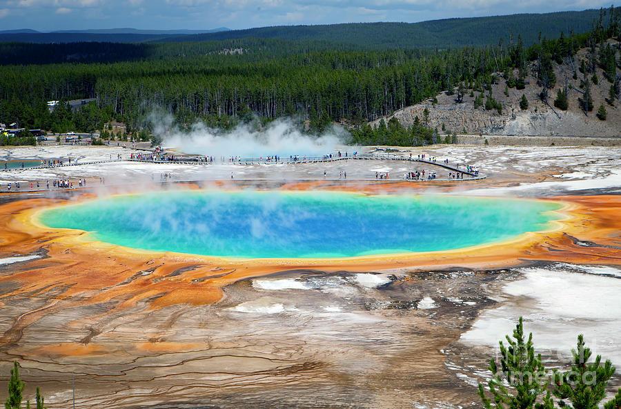 1485 Grand Prismatic Spring Photograph by Steve Sturgill