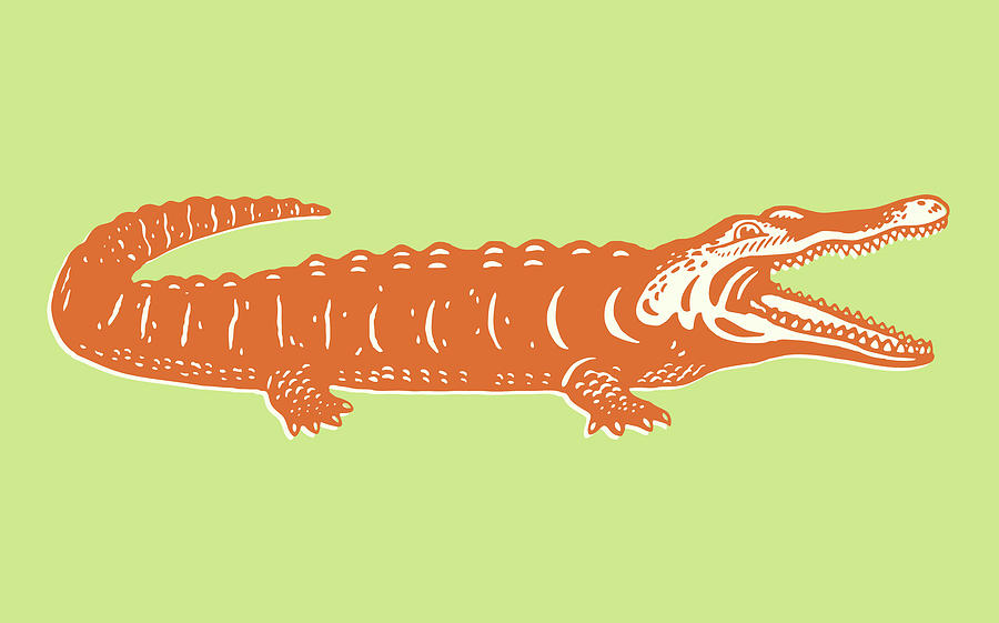 Alligator Drawing - Alligator #15 by CSA Images