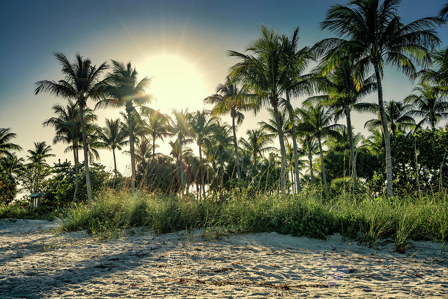 Beach At Peanut Island, Florida #15 Digital Art by Laura Zeid