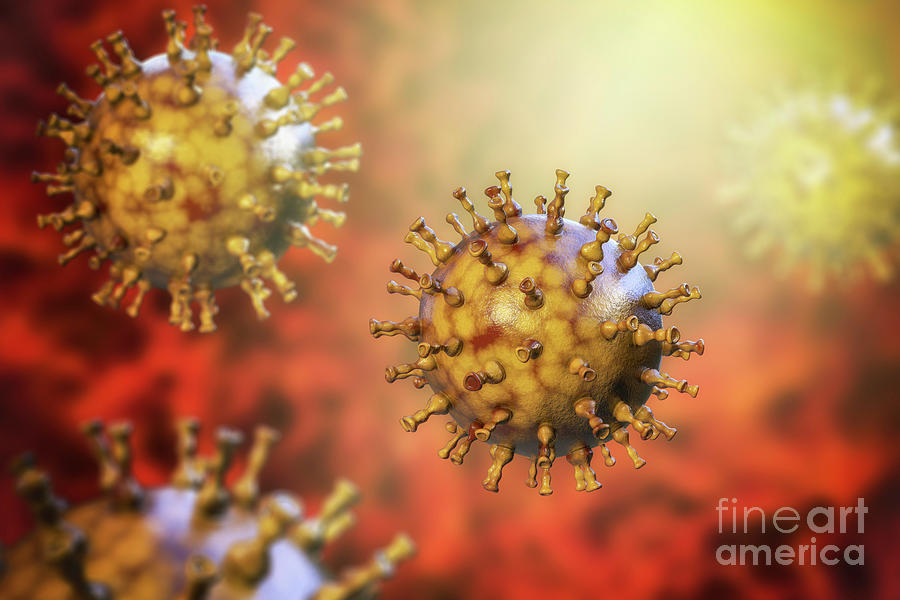 Chickenpox Virus #15 Photograph by Kateryna Kon/science Photo Library