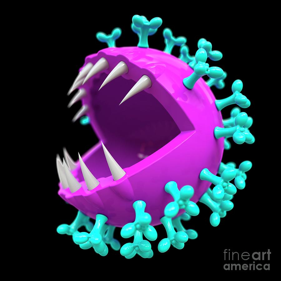 Biology Photograph - Coronavirus Capsid #15 by Laguna Design/science Photo Library