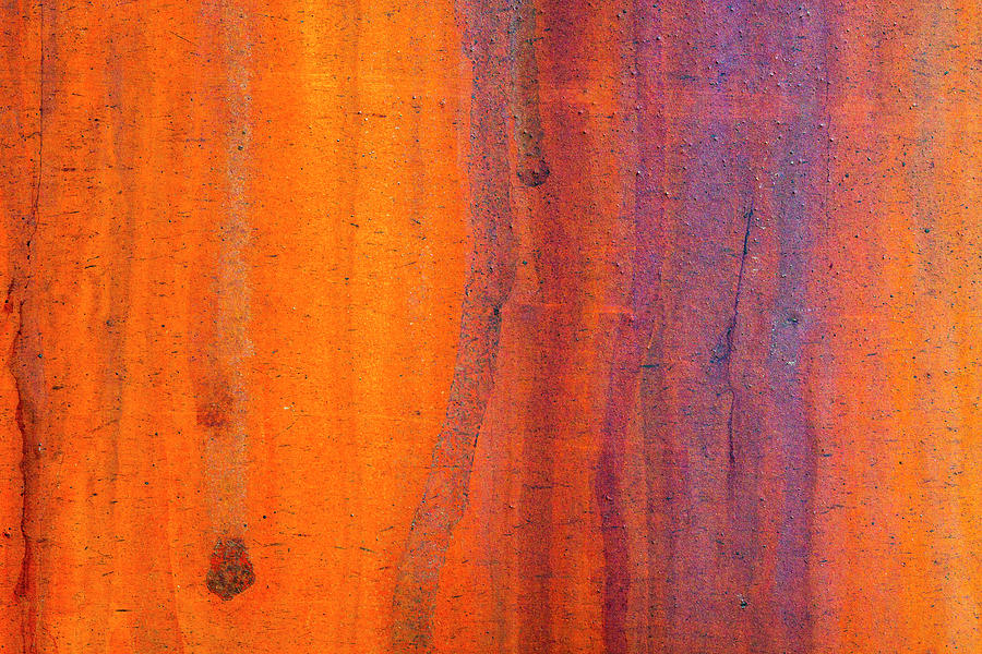 Abstract Photograph - Details Of Rust And Paint On Metal #15 by Zandria Muench Beraldo