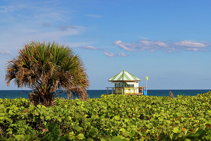 Florida, South Florida, Delray Beach, Lifeguard Station #15 Digital Art by Laura Diez