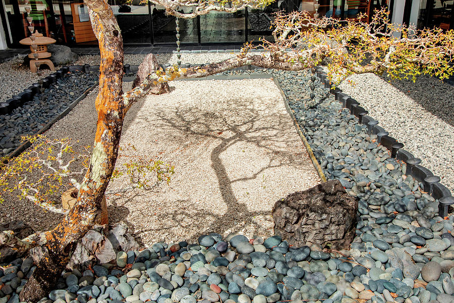 Florida, South Florida, Delray Beach, Morikami Japanese Gardens #15 Digital Art by Lumiere