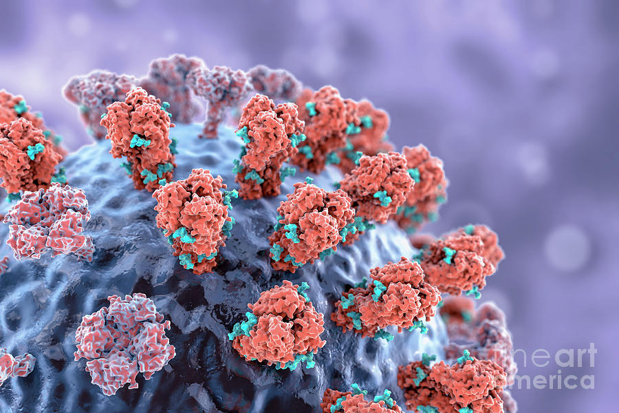 Flu Virus Photograph By Kateryna Kon/science Photo Library | Pixels