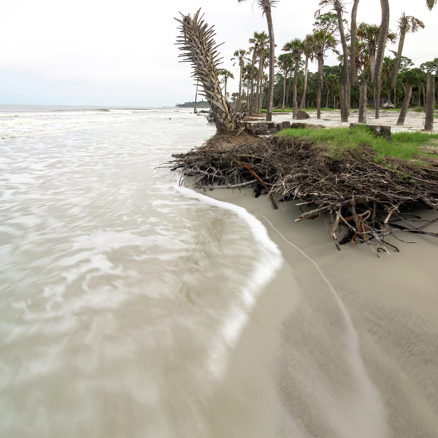 Hunting Island South Carolina Beach Scenes #15 Photograph by Alex Grichenko