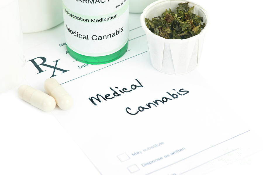 Medical Marijuana #15 by Science Photo Library