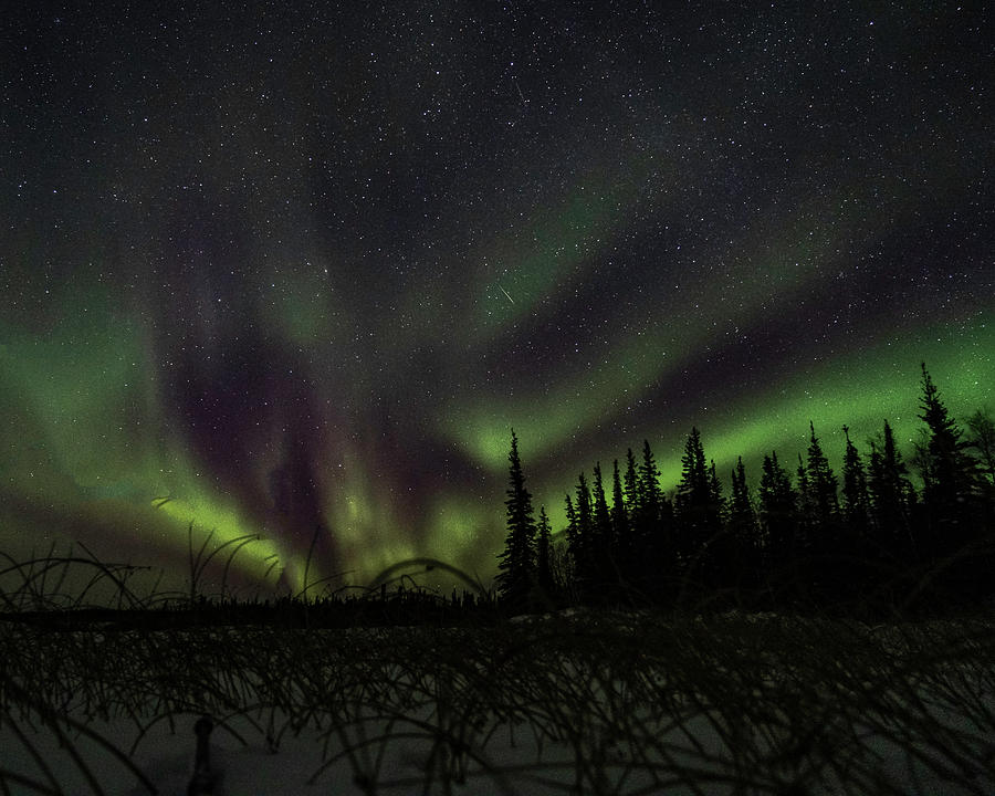 Northern Lights #15 Photograph by Laura Hedien