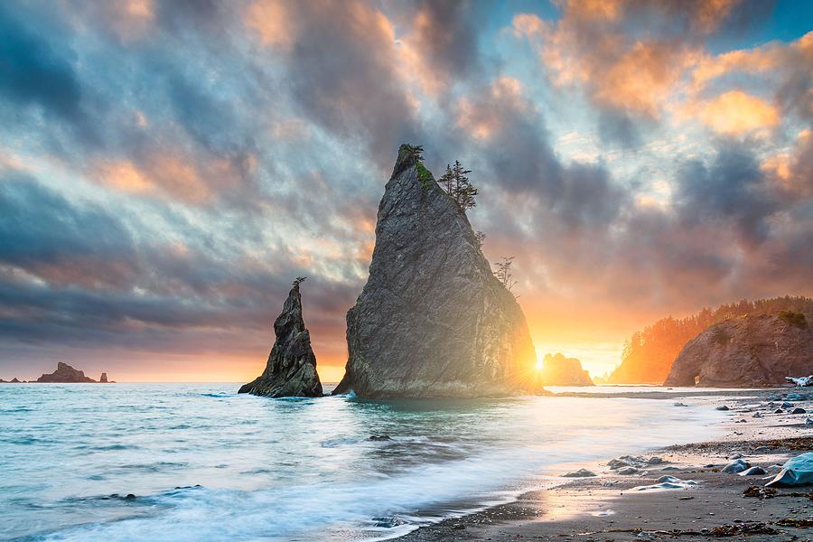 Olympic National Park Photograph - Olympic National Park, Washington, Usa #15 by Sean Pavone