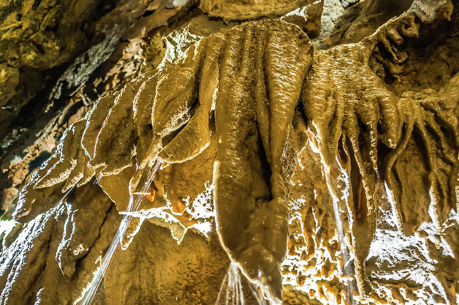 Pathway underground cave in forbidden cavers near sevierville te #15 Photograph by Alex Grichenko