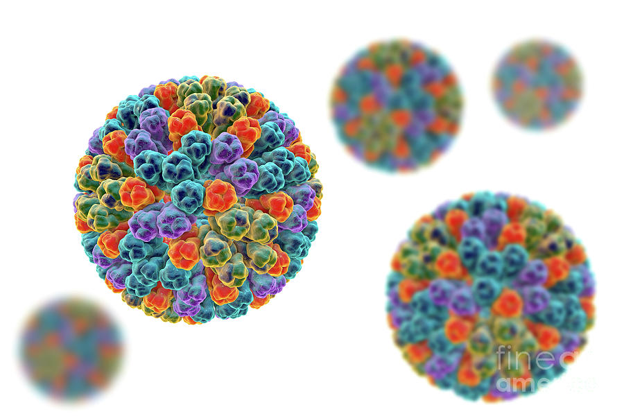 Rotavirus Particle Photograph By Kateryna Konscience Photo Library Pixels 