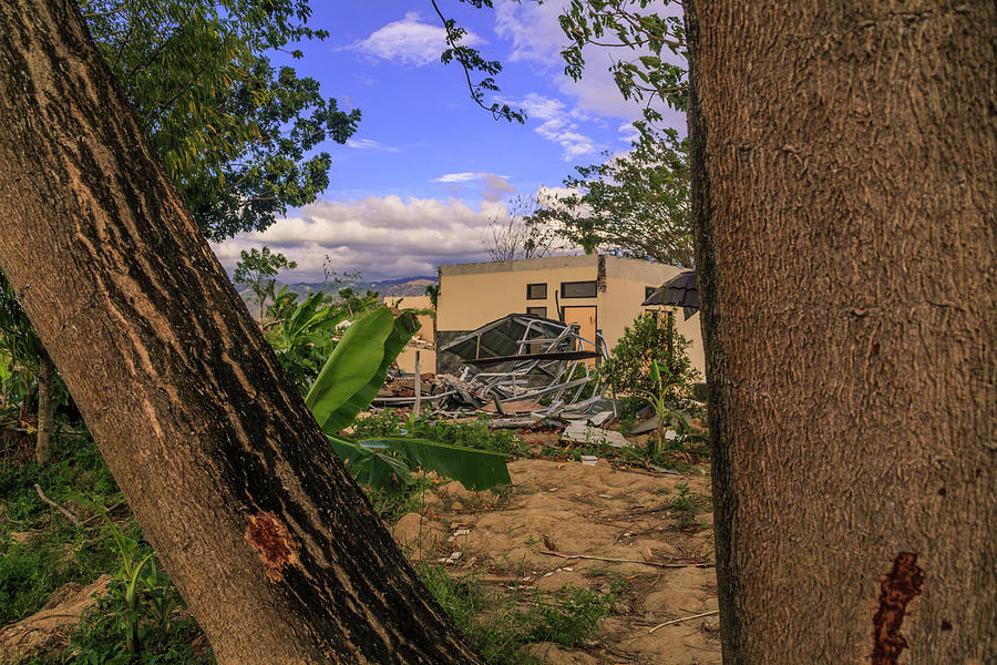 Tree Photograph - Severe Damage From Earthquake And Liquefaction Natural Disasters #15 by Mangge Totok