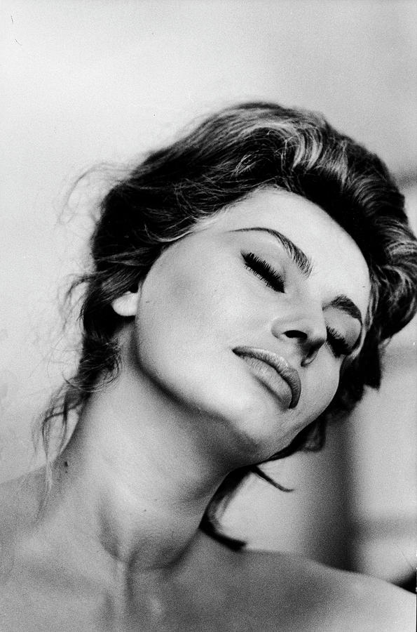 Sophia Loren Photograph - Sophia Loren #15 by Alfred Eisenstaedt