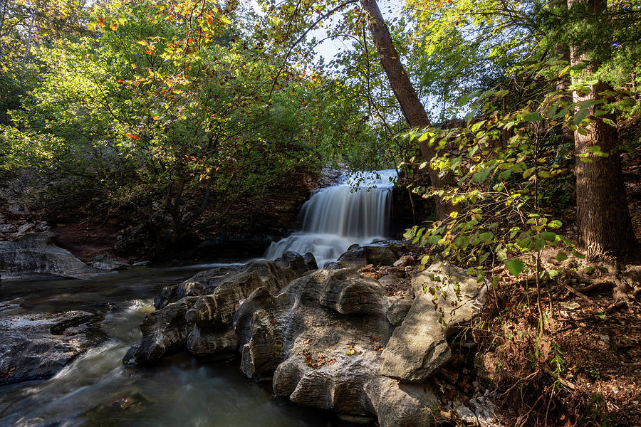 Tanyard Creek Waterfall by Michael Munster Tanyard Creek Waterfall by Michael Munster
