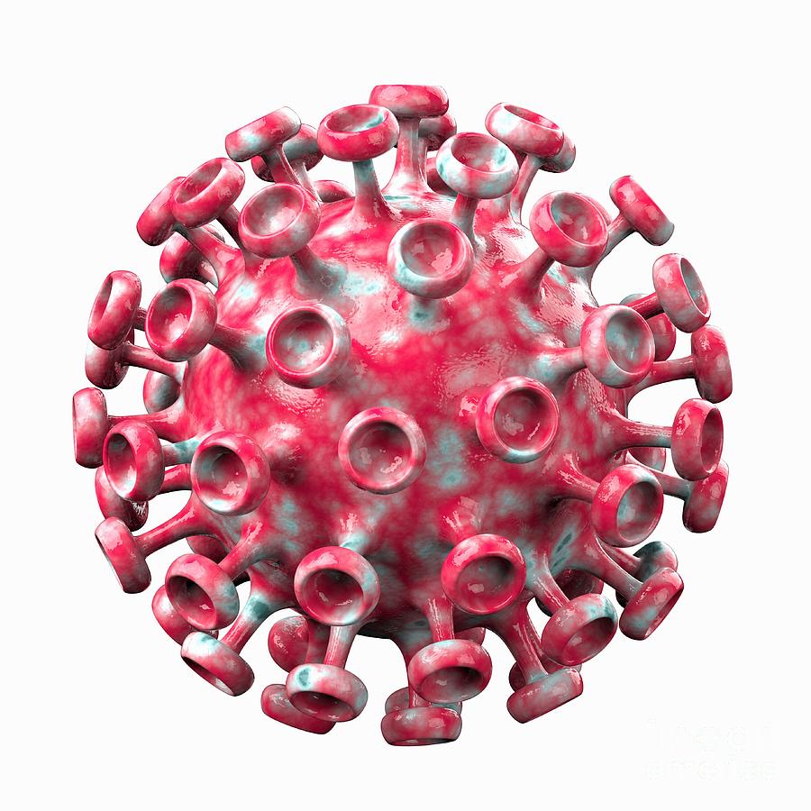 Virus Capsid Photograph By Laguna Design/science Photo Library - Fine ...