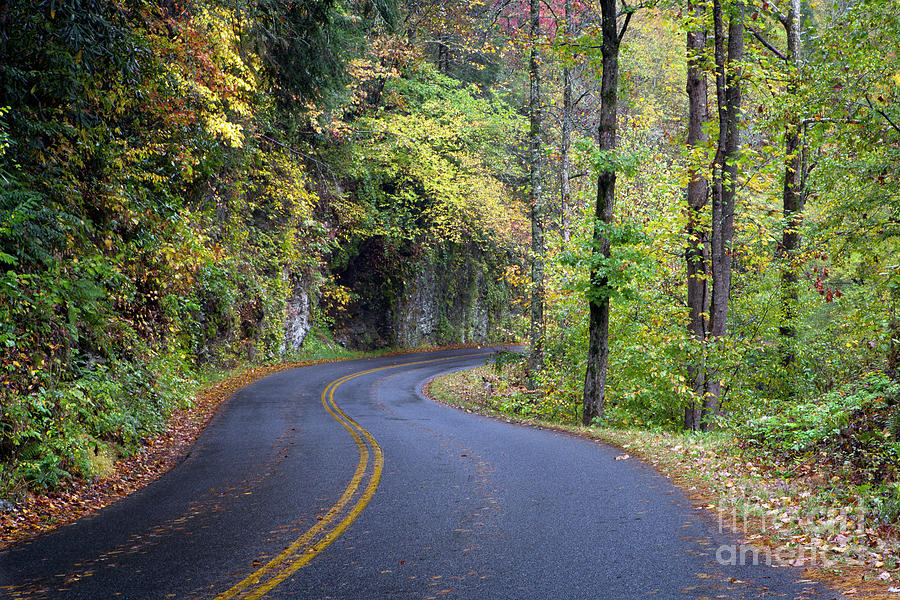 1513 Smoky Mountain National Park by Steve Sturgill 1513 Smoky Mountain National Park by Steve Sturgill