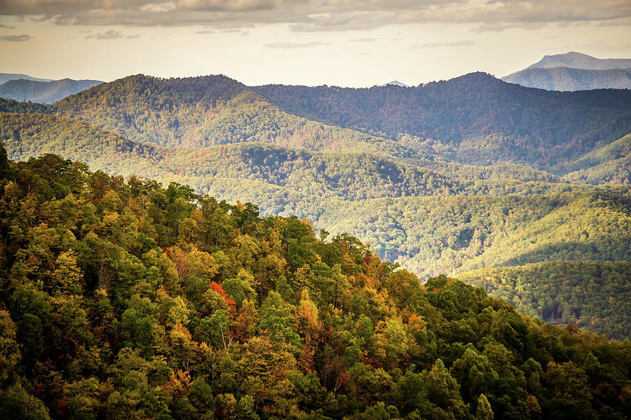 Blue Ridge And Smoky Mountains Changing Color In Fall #16 Photograph by Alex Grichenko